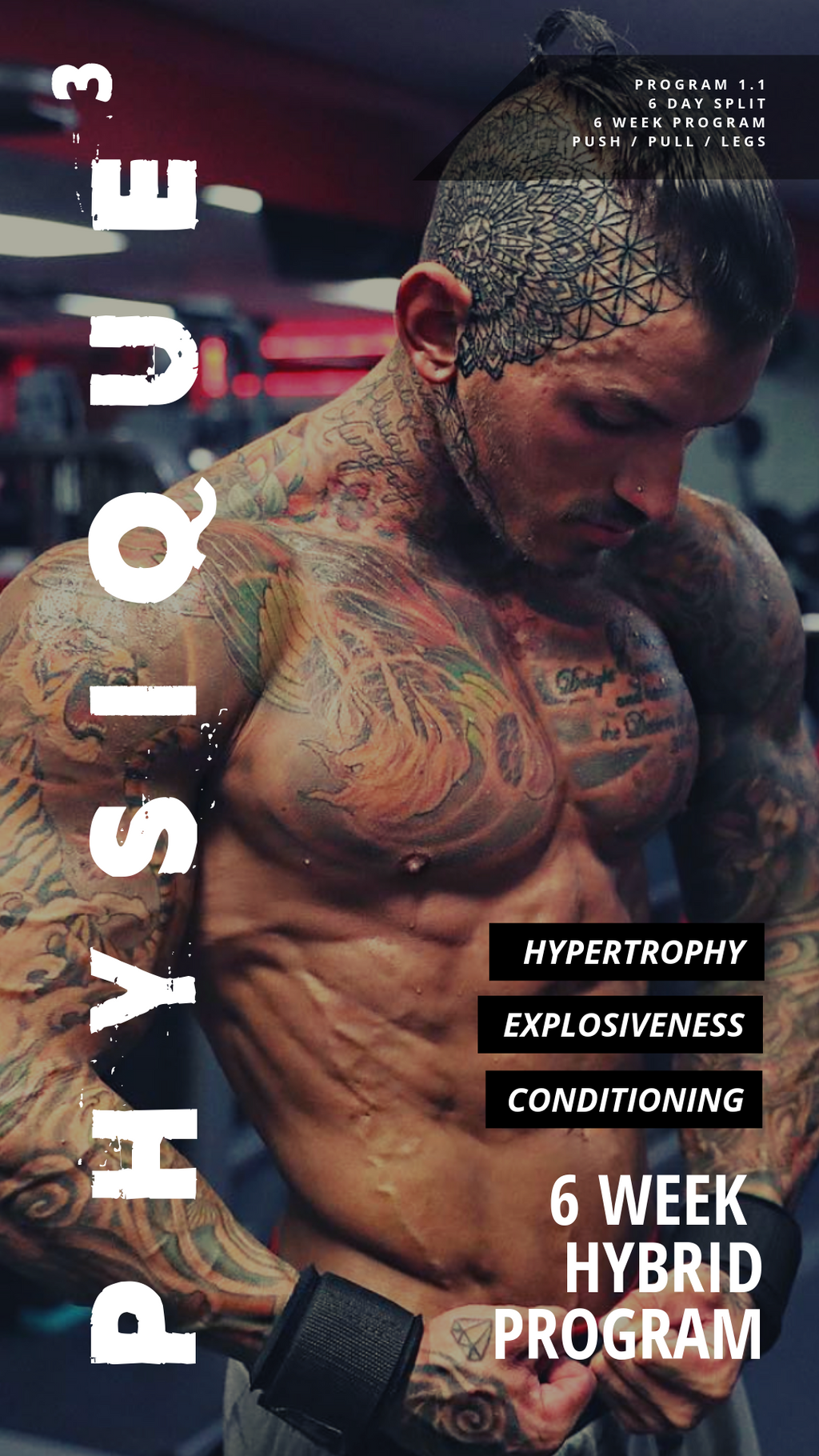 Physique3 Workout Program Vol. 1