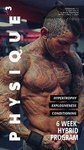 Physique3 Workout Program Vol. 1